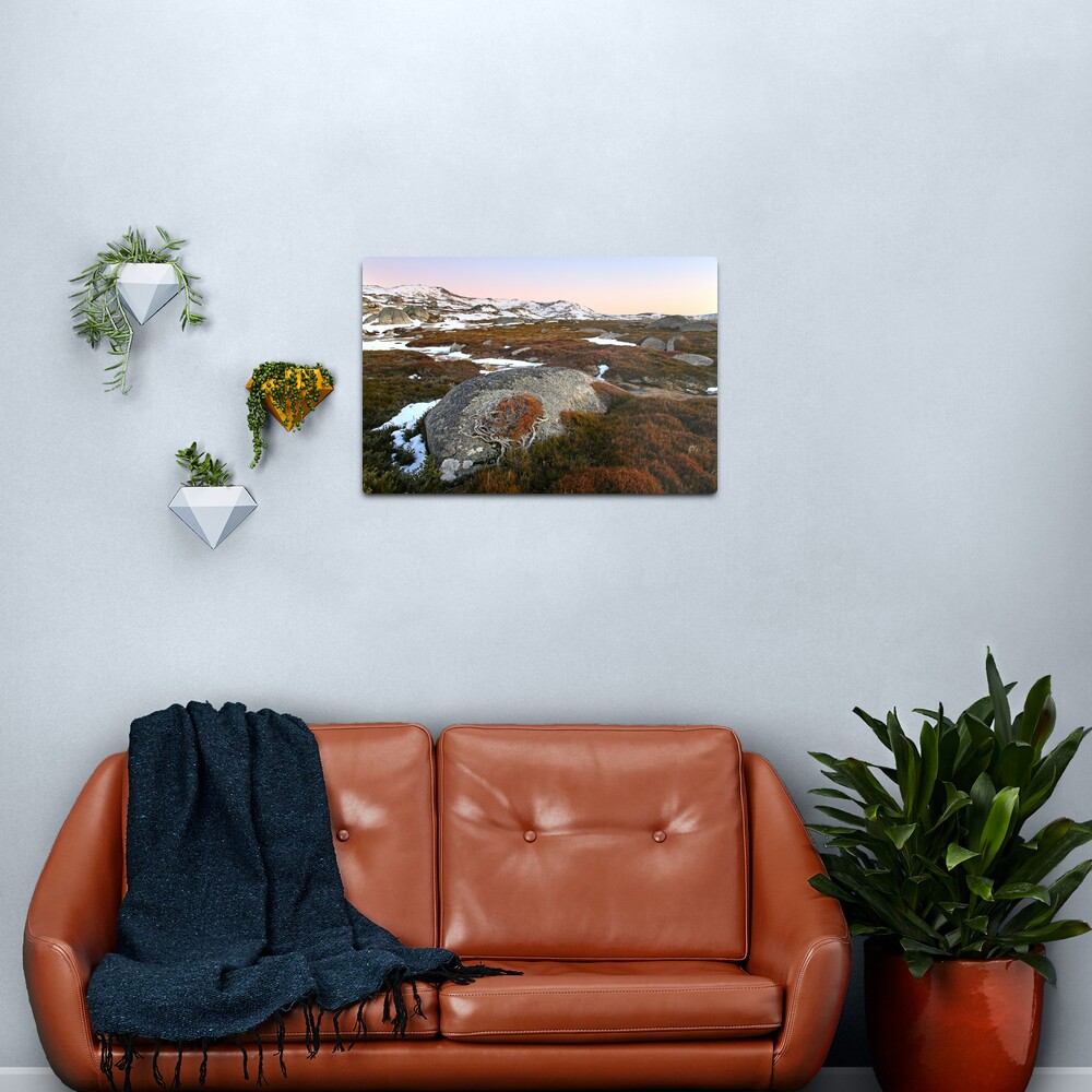 Wind swept valley, Kosciusko Nat. Park, Australia Metal Print