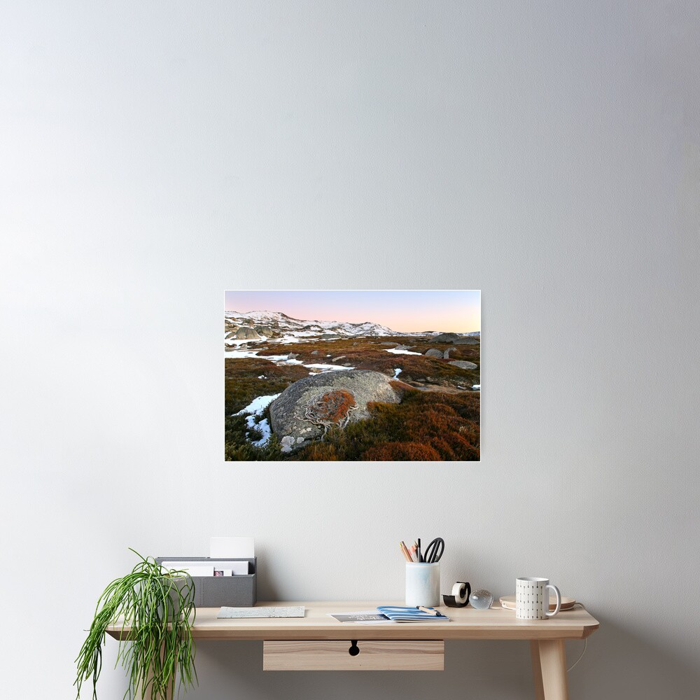 Wind swept valley, Kosciusko Nat. Park, Australia Poster