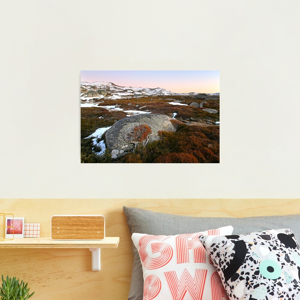 Wind swept valley, Kosciusko Nat. Park, Australia Photographic Print