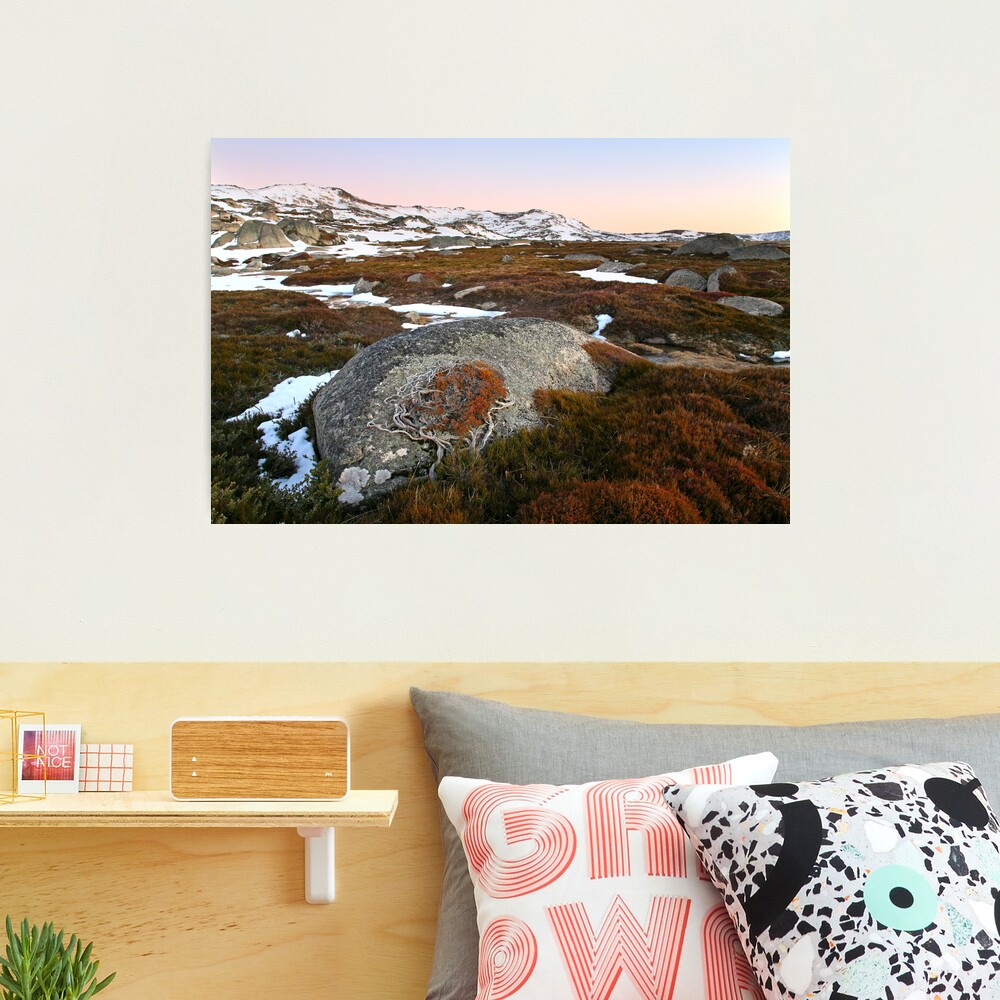 Wind swept valley, Kosciusko Nat. Park, Australia Photographic Print