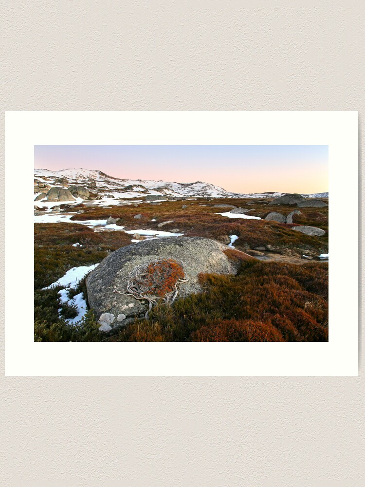 Alternate view of Wind swept valley, Kosciusko Nat. Park, Australia Art Print