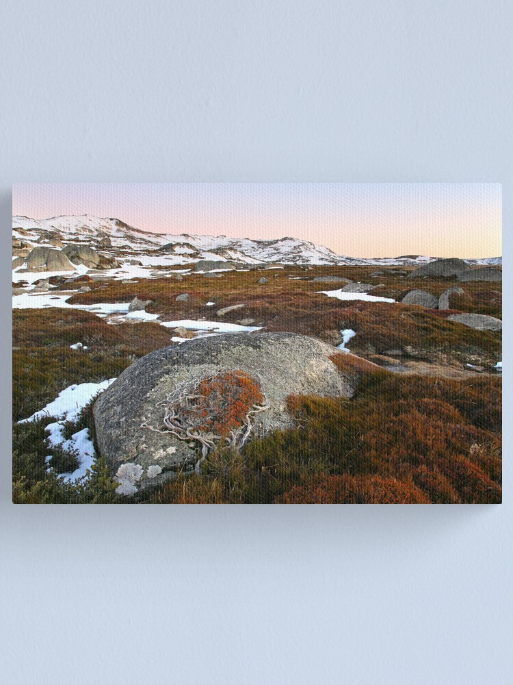 Alternate view of Wind swept valley, Kosciusko Nat. Park, Australia Canvas Print