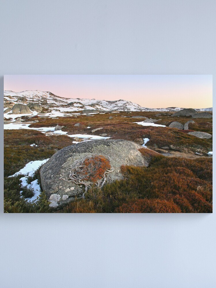 Alternate view of Wind swept valley, Kosciusko Nat. Park, Australia Canvas Print