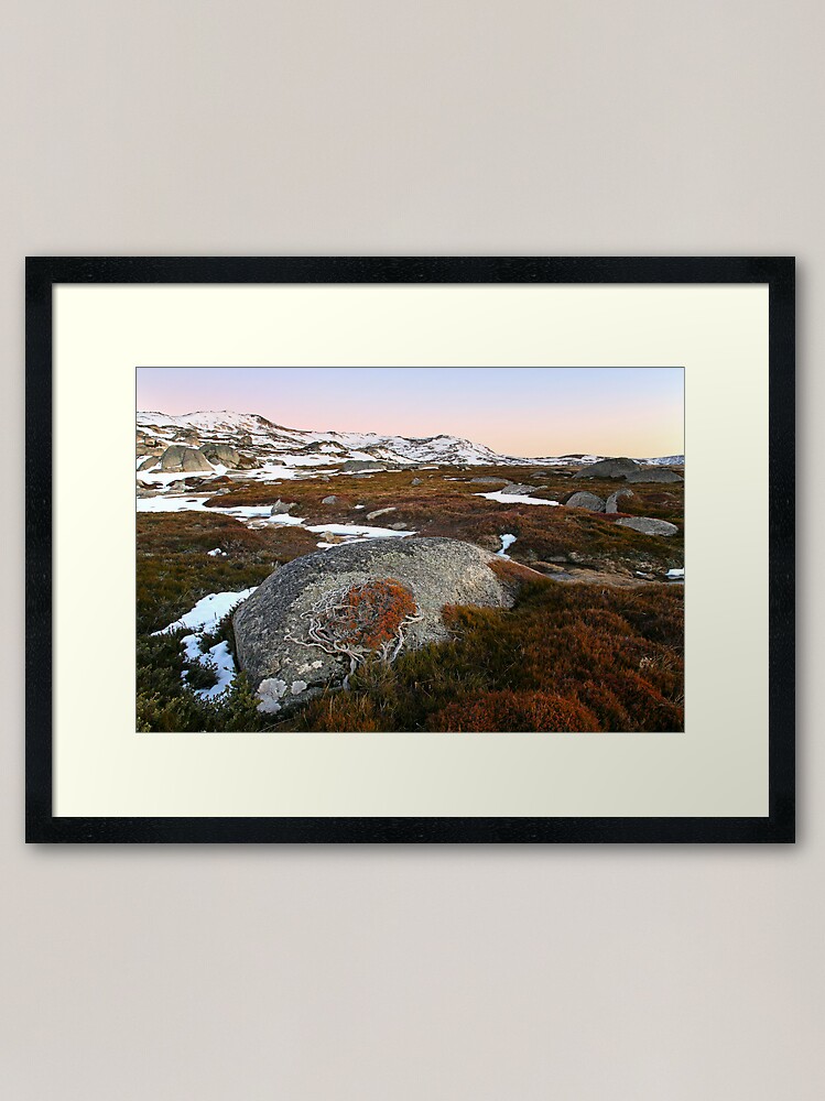 Alternate view of Wind swept valley, Kosciusko Nat. Park, Australia Framed Art Print