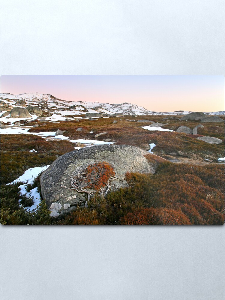 Alternate view of Wind swept valley, Kosciusko Nat. Park, Australia Metal Print