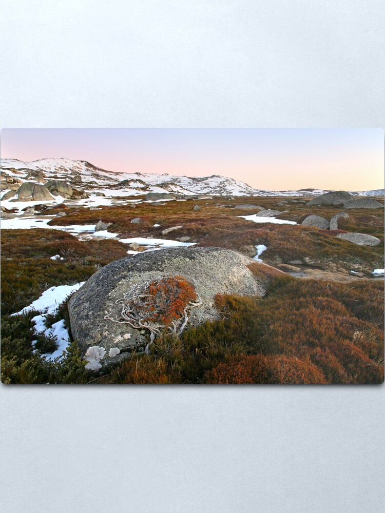 Alternate view of Wind swept valley, Kosciusko Nat. Park, Australia Metal Print