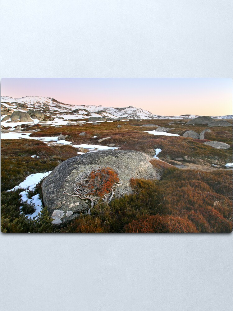 Alternate view of Wind swept valley, Kosciusko Nat. Park, Australia Metal Print