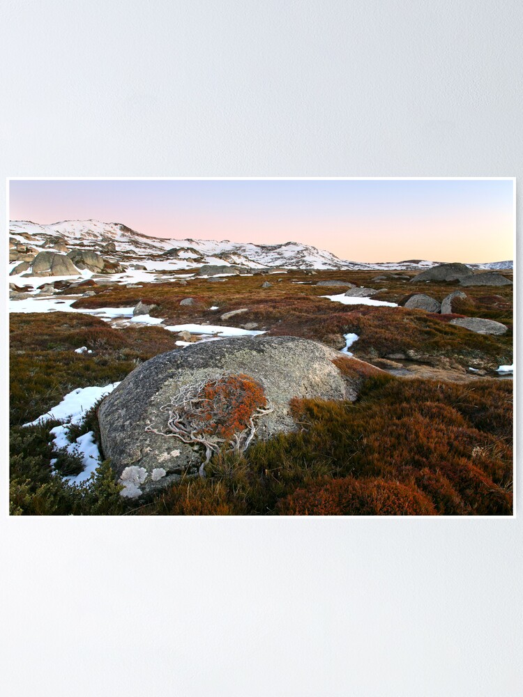 Alternate view of Wind swept valley, Kosciusko Nat. Park, Australia Poster