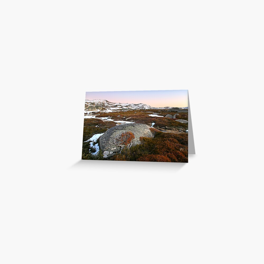 Wind swept valley, Kosciusko Nat. Park, Australia Greeting Card