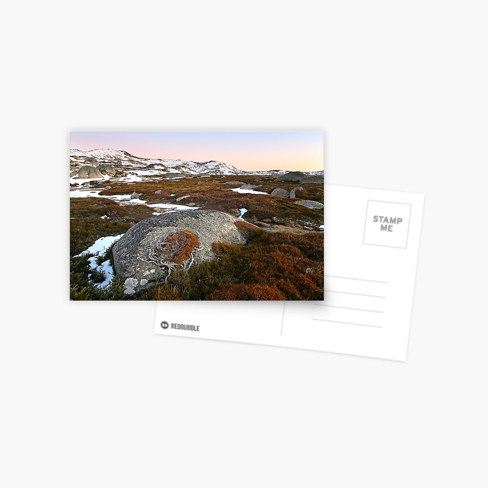 Wind swept valley, Kosciusko Nat. Park, Australia Postcard