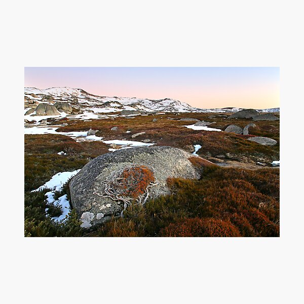 Wind swept valley, Kosciusko Nat. Park, Australia Photographic Print