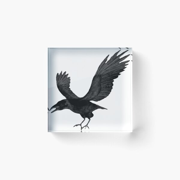 Item preview, Black hawk flapping wings angrily designed and sold by JoseIrwin55.