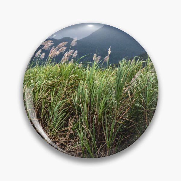 Item preview, Sugar Cane Mossman, Far North Queensland designed and sold by Kate Powick.