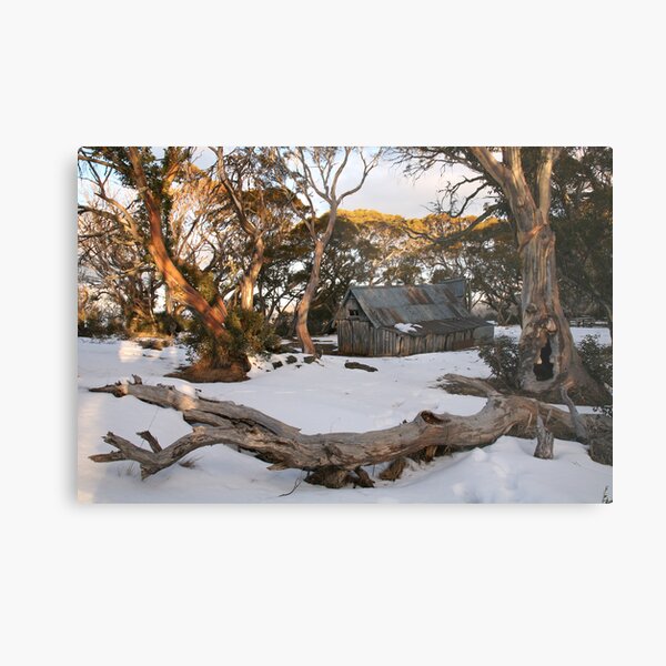 Wallace Hut, Falls Creek, Australia Metal Print
