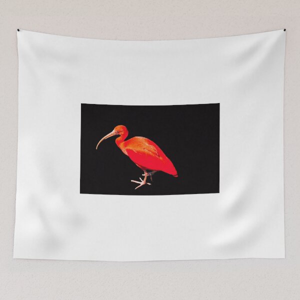 Item preview, Scarlet ibis on a black background designed and sold by HazelWright.