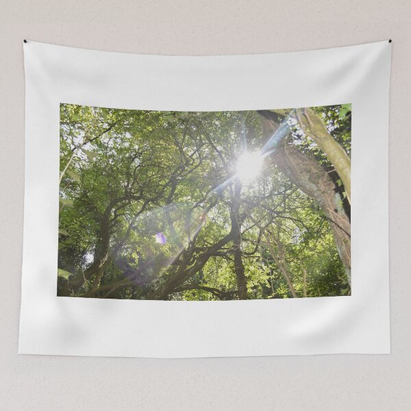 Item preview, Sunshine Forest designed and sold by loganferret.