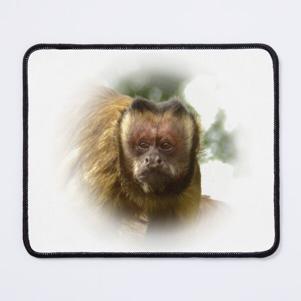 Item preview, Tufted capuchin designed and sold by Guardi71.