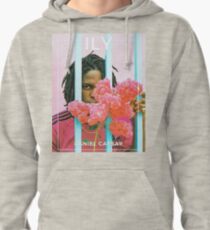 danny Pullover Hoodie