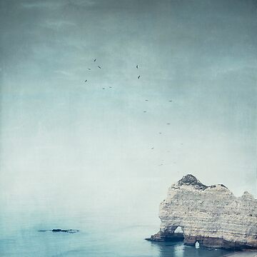 Artwork thumbnail, Falaise d'Amont - Côte d'Albatre Normandie France by Dyrk Wyst Redbubble Shop