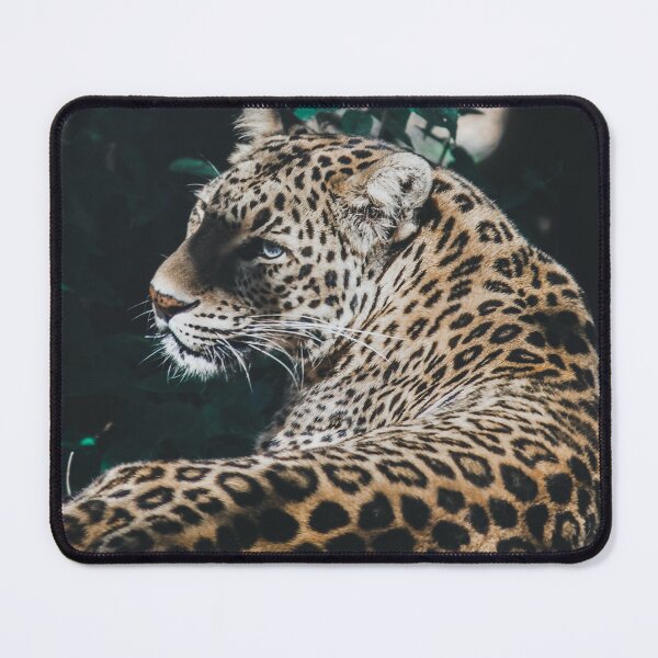 Item preview, FELINE LOOK designed and sold by stickersrafisa.