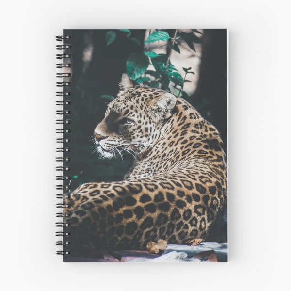 Item preview, FELINE LOOK designed and sold by stickersrafisa.