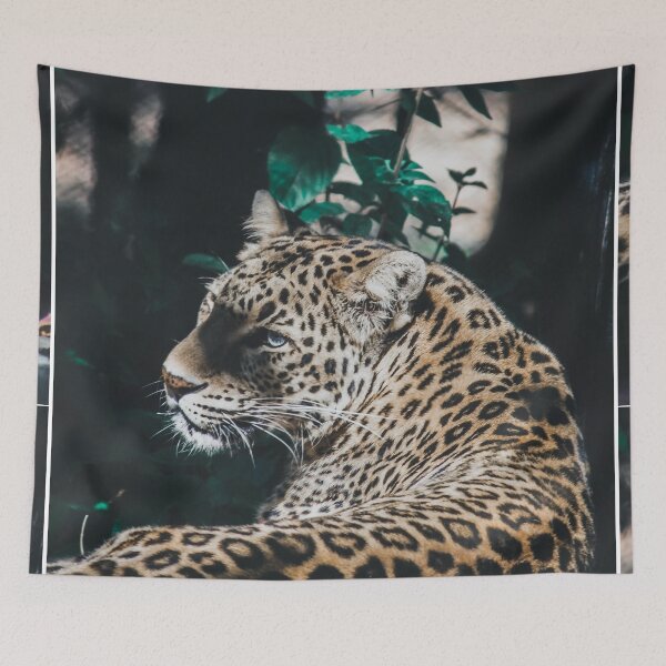 Item preview, FELINE LOOK designed and sold by stickersrafisa.
