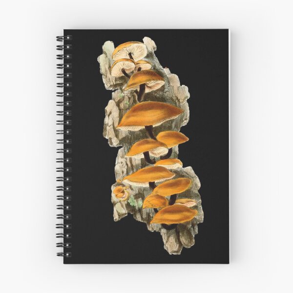 Item preview,  Anna Maria Hussey Vintage mushrooms  designed and sold by msro1.