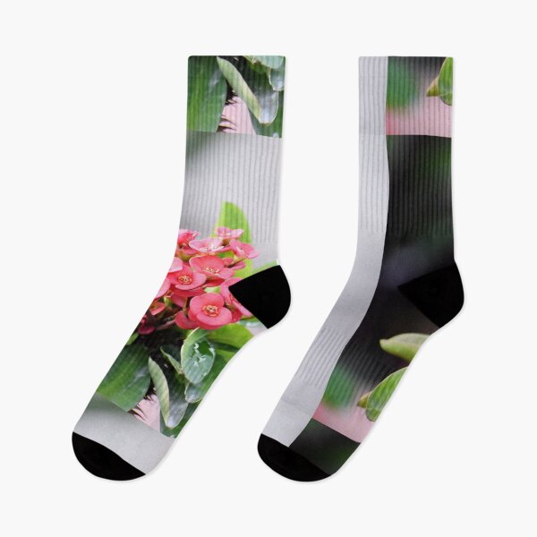 Artikelvorschau, Flowering plant and bunch of beautiful Pink flower entworfen und verkauft von Rav33822.