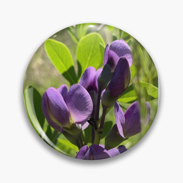 Item preview, False Indigo Flower designed and sold by Sammi-Design.
