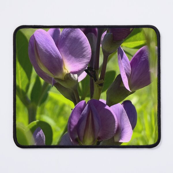 Item preview, False Indigo Flower designed and sold by Sammi-Design.