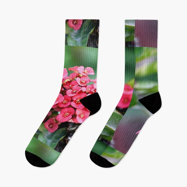 Artikelvorschau, Flowering plant and bunch of beautiful Pink flower entworfen und verkauft von Rav33822.