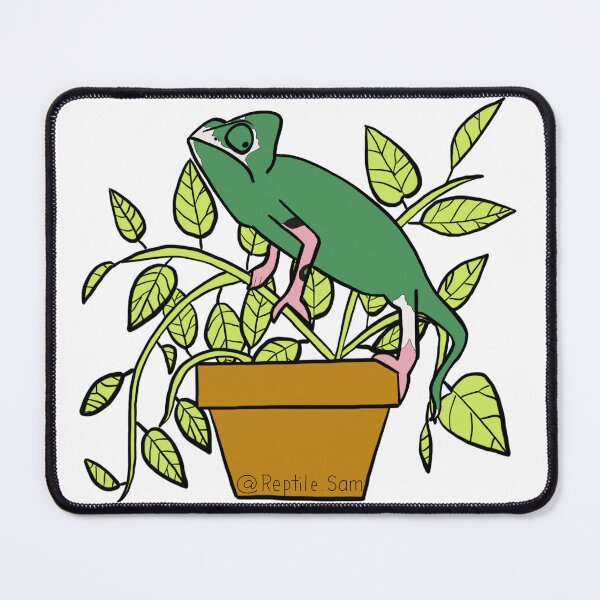 Item preview, Greedo, the Pied Veiled Chameleon designed and sold by ReptileSam.