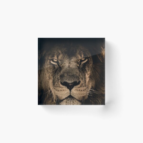 Item preview, FEEL LION designed and sold by stickersrafisa.