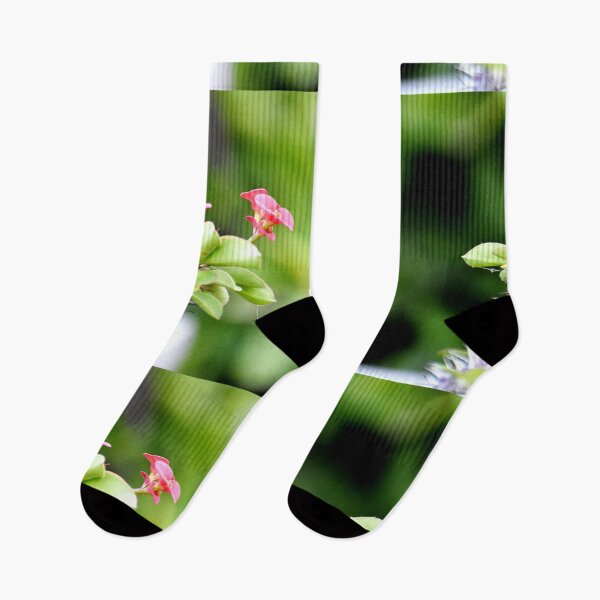 Artikelvorschau, Flowering plant and bunch of beautiful Pink flower entworfen und verkauft von Rav33822.