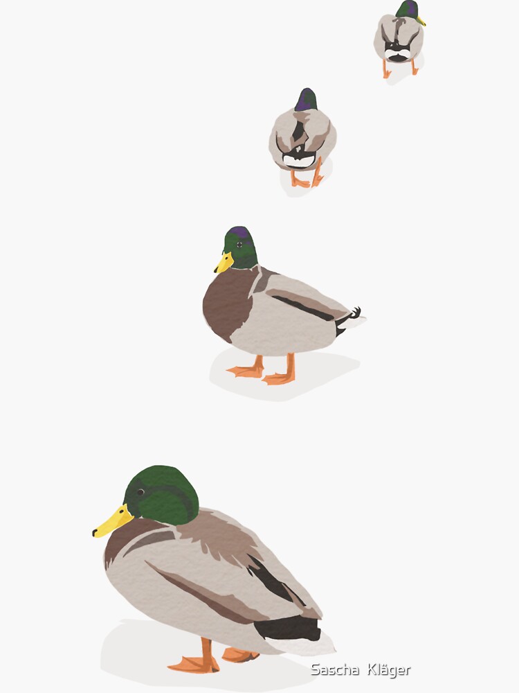 Thumbnail 3 of 3, Sticker, ducks / ducks designed and sold by IsabellaSchaf.