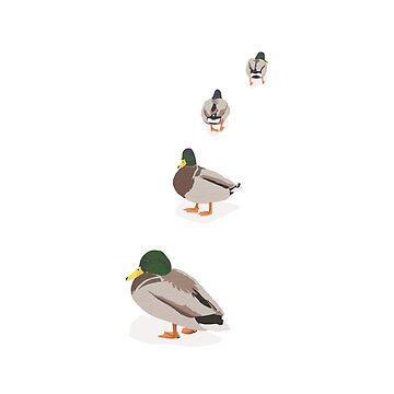 Artwork thumbnail, ducks / ducks by Sascha Kläger