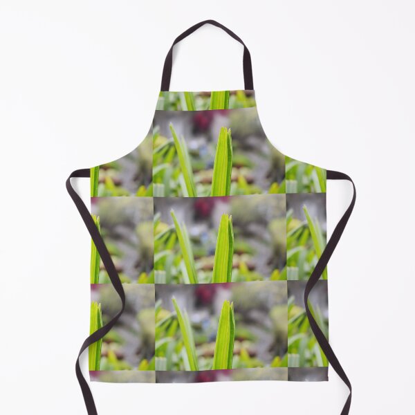 Item preview, Snap of beautiful decorative Plant designed and sold by Rav33822.