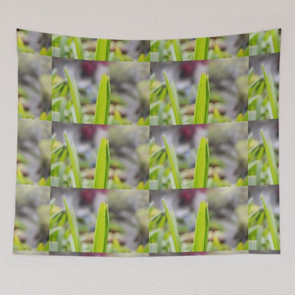 Item preview, Snap of beautiful decorative Plant designed and sold by Rav33822.