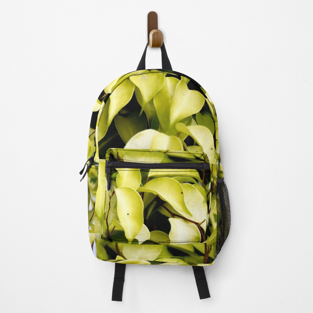 Artikel-Vorschau von Rucksack, designt und verkauft von Rav33822.