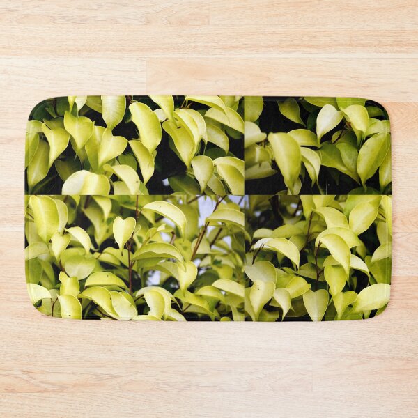 Item preview, Snap of beautiful decorative Plant designed and sold by Rav33822.