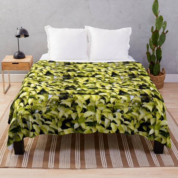 Item preview, Snap of beautiful decorative Plant designed and sold by Rav33822.