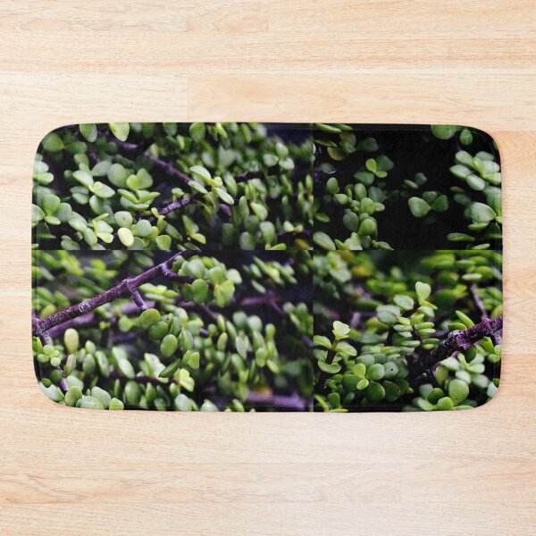 Item preview, Snap of beautiful decorative Plant designed and sold by Rav33822.