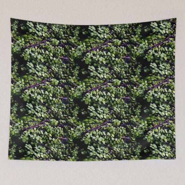 Item preview, Snap of beautiful decorative Plant designed and sold by Rav33822.