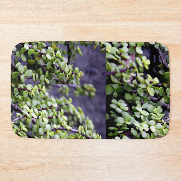 Item preview, Snap of beautiful decorative Plant designed and sold by Rav33822.