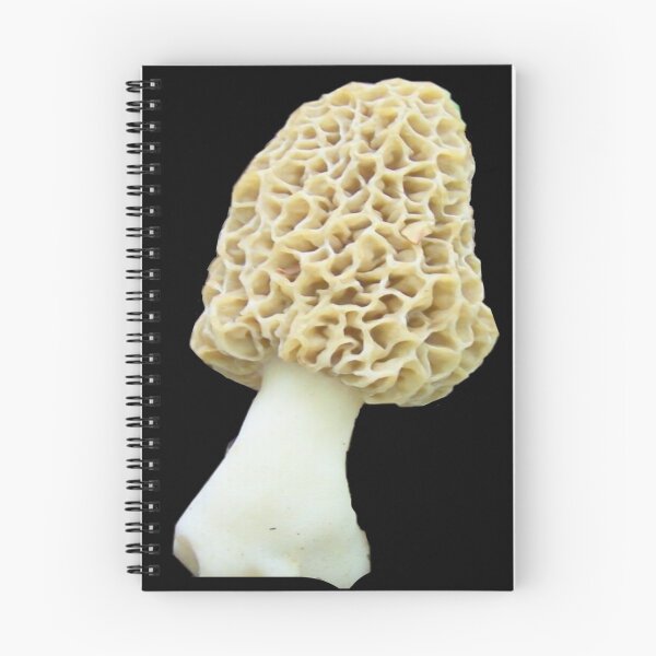 Item preview, Monster Yellow Morel Mushroom designed and sold by natnat7w.