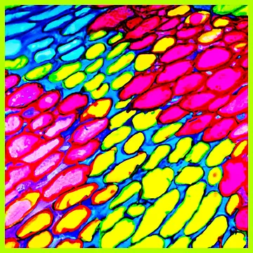 Artwork thumbnail, Abstract Dynamic Pattern Fusion Design by Health And Fitness Posts e-Store