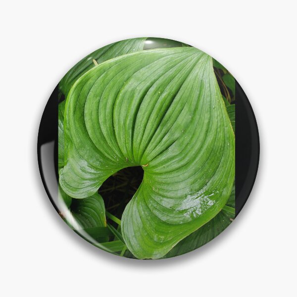 Item preview, Green leaf curves designed and sold by DancingCreek.