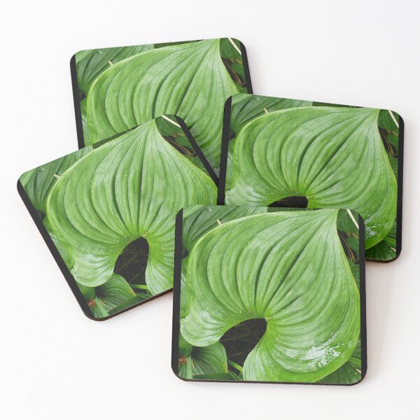 Item preview, Green leaf curves designed and sold by DancingCreek.