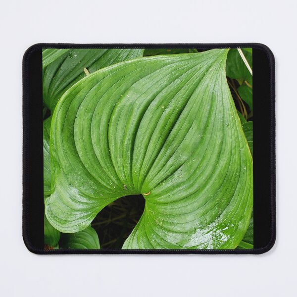 Item preview, Green leaf curves designed and sold by DancingCreek.