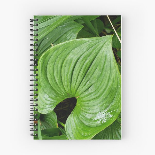 Item preview, Green leaf curves designed and sold by DancingCreek.